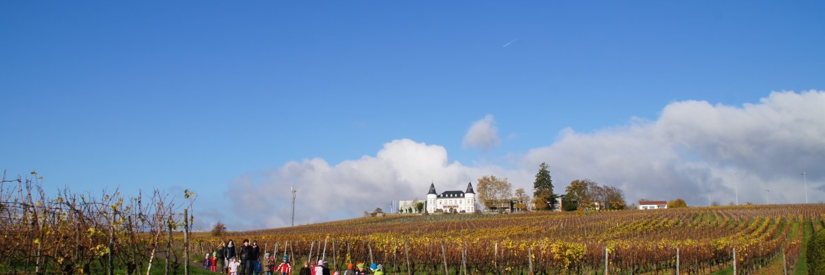 Hansenberg und Weinberge