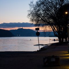 Bild vom Rhein vorm JUZ geisenheim