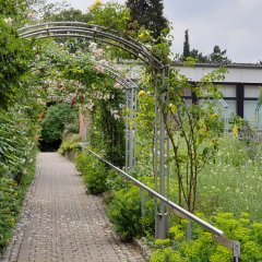 Weg in den Hochschulen Park