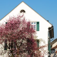 Gebäude der hochschule