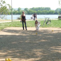 Boulplatz am Rhein