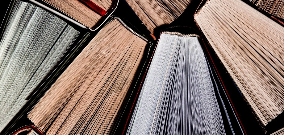 Books. Lots of colourful thick open books stand on a dark background